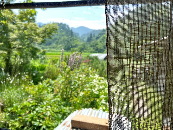 のうさぎカフェから見る外の風景